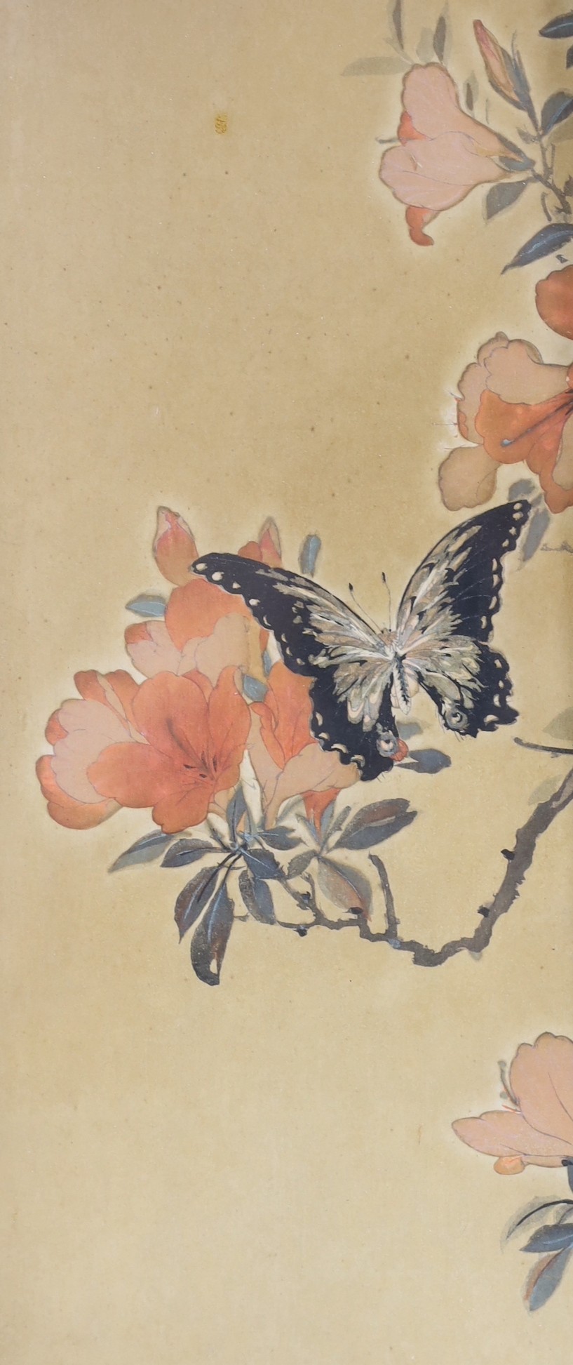 Ohara Koson (1877-1945), four woodblock prints, Studies of birds, 34.5 x 18.5cm